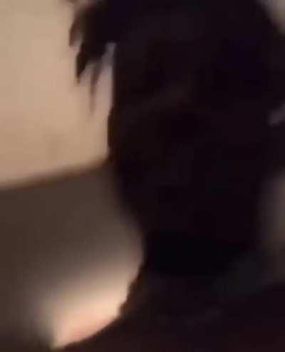 idk why this is funny to me, maybe it's cause i've never seen the clip