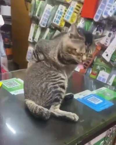 Master of touchless grooming