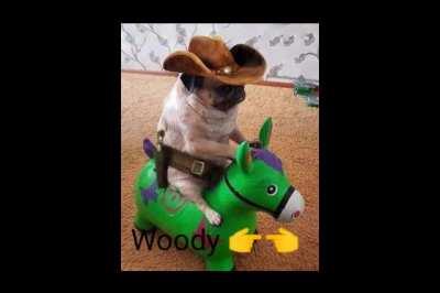 Woody (👉👈)