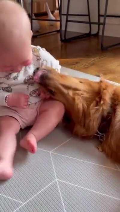 A Baby Growing Up With Her Doggo And Best Friend