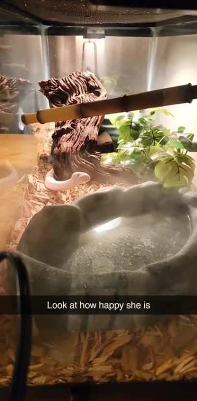 Almost more of a yip than a yell but I think it counts