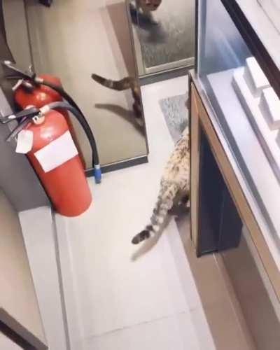 Forgot to account for glass variable