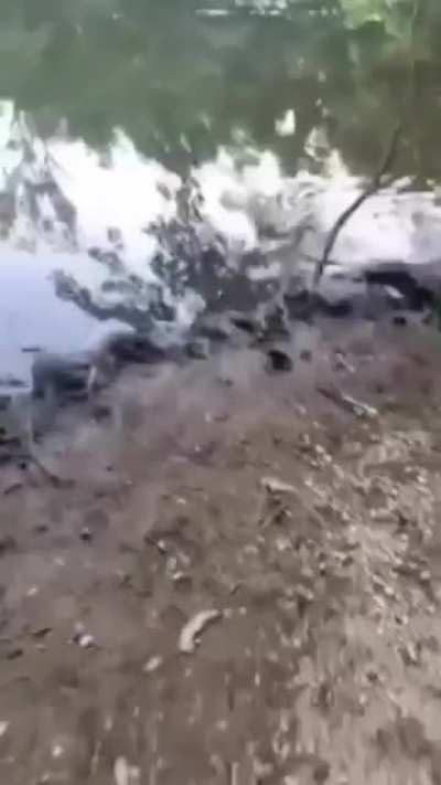 that's heartbreaking for them