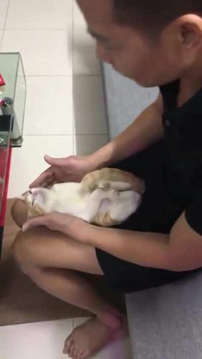 Baby bathing co-instructor