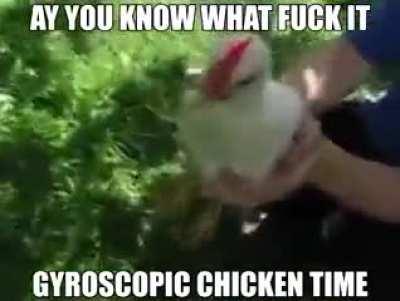 حيوان استرالي