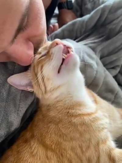 This video is too much for me