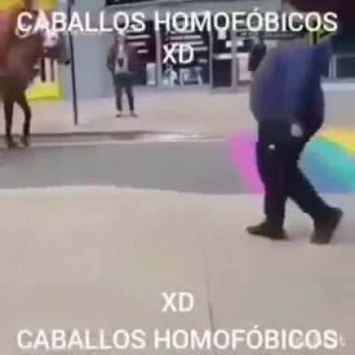 No caballo funado