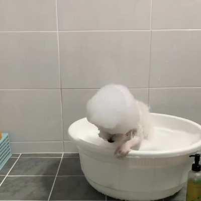 bath time