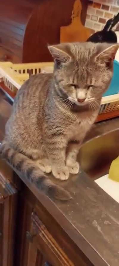 He's so cute when he closes his eyes.😻