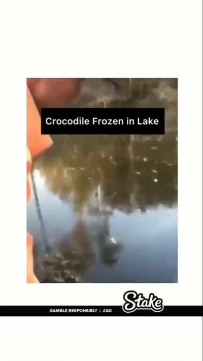 La naturaleza es cruel