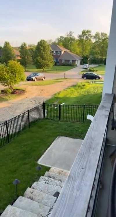 to run away from little kitty but