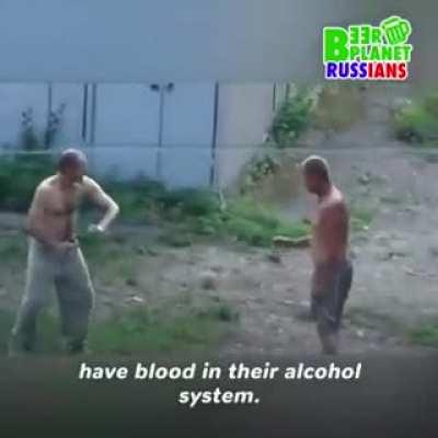 new species discovered