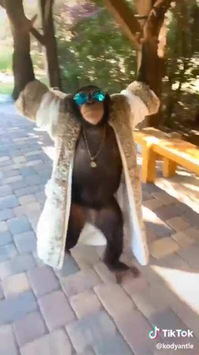 I found this online and thought I’d share