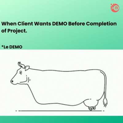When a client requests a demo before the project is completed.