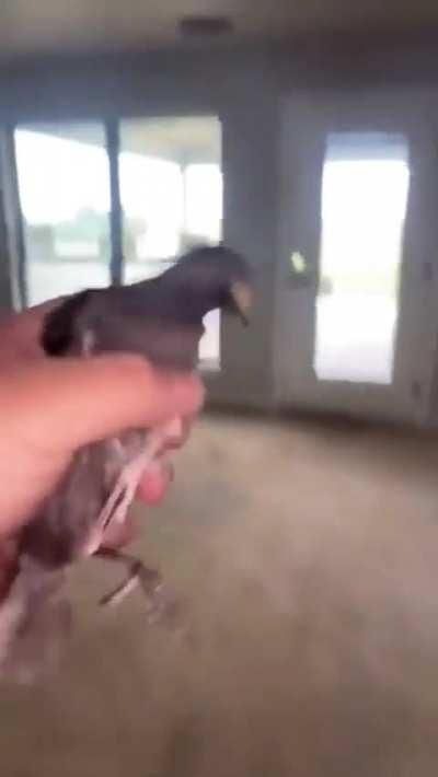 i think he was scared