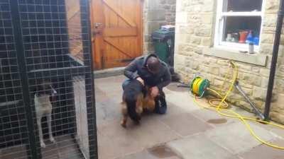 Dog Cries Out In Happiness After Months Apart From Owner.