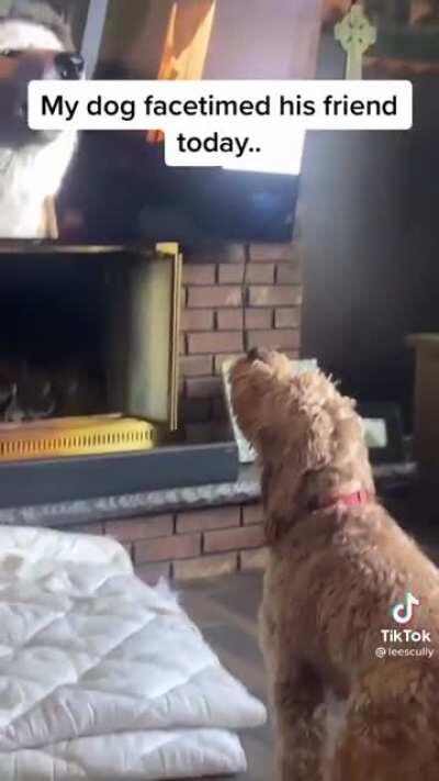 What could they be saying?