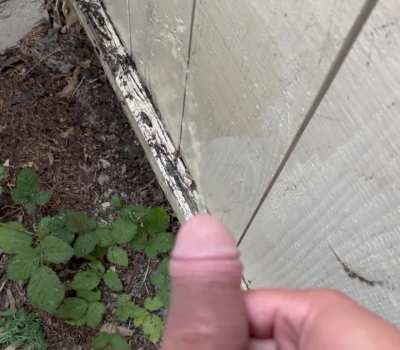 Marking this Territory, one last time😁