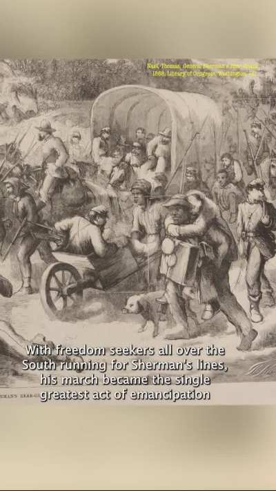 Sherman the unlikely social justice warrior