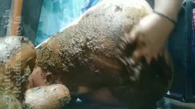 I look so sexy covered in shit [F]