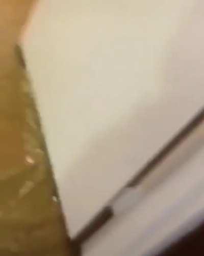 Hit the toilet cover with a hammer WCGW