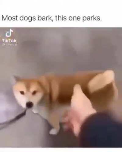 Oiling metal prevent rusting