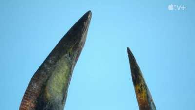 Prehistoric Planet Season 2 Trailer just dropped!!