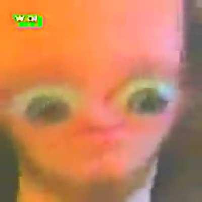 I fear this creation