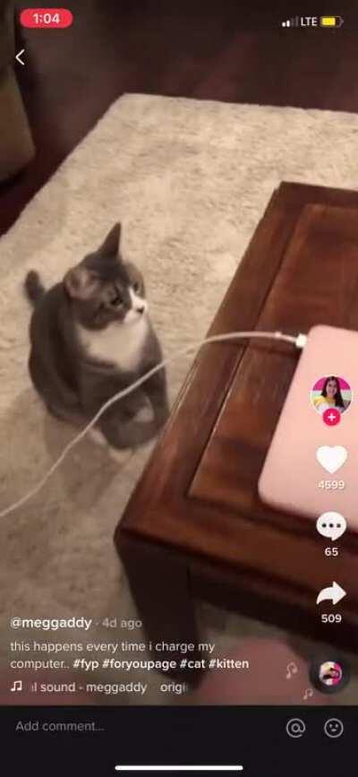 Don't worry human! I'll save you!