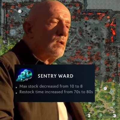 Every Support Mains on new 7.33 Patch: