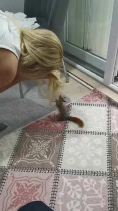 Just playing with a squirrel :)