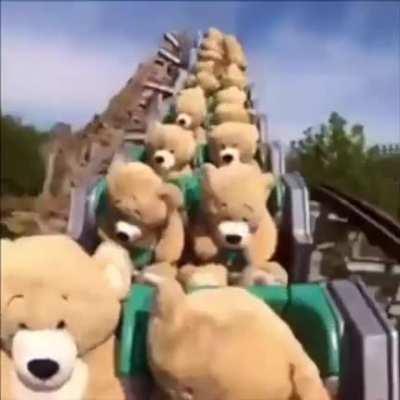 Teddy Rosevelt toy bear