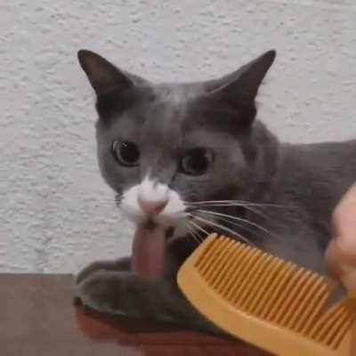 Auto-cLicker with C@