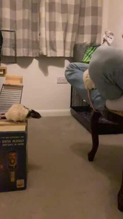 And a 1 and a 2 and a 3