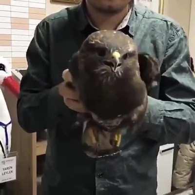 как тебя ни крутит жизнь, твоя голова остаётся стабилизированное