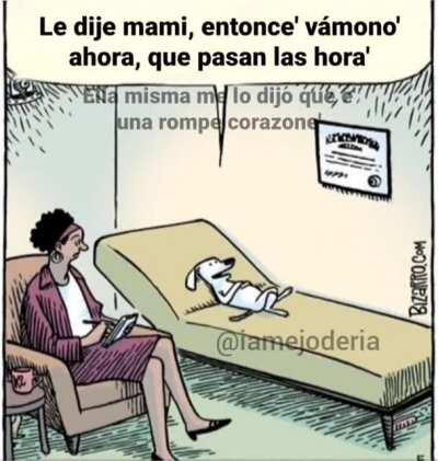 La vi moviendo la cola