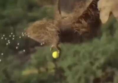 2 günlük banım kalktı arkadaşlarımın saat 3'de gönderdikleri part 5