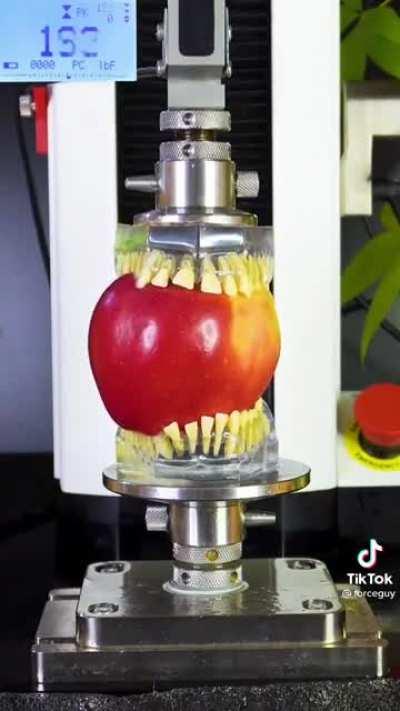 An apple a day will keep the doctor away, but not a dentist.