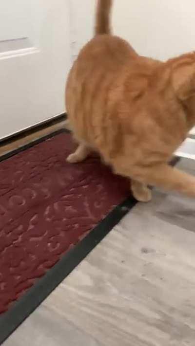 Angry chonker stole my potato