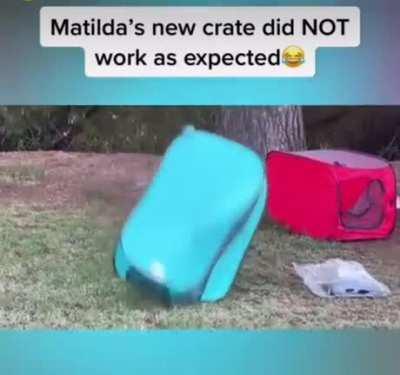 Can't cage the love!