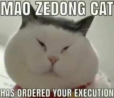 🇨🇳🇨🇳🇨🇳