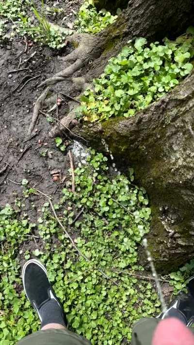 Someone has to keep these things watered 