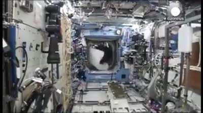 High altitude highjinx