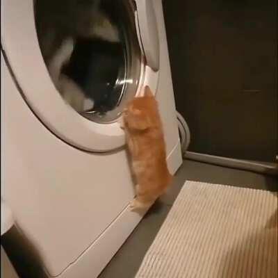 Practising for his next heist