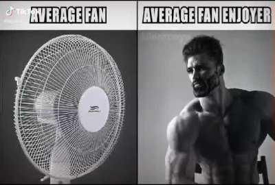 Average tik tok thief