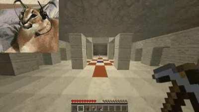 Floppa gaming!1111!!!!!