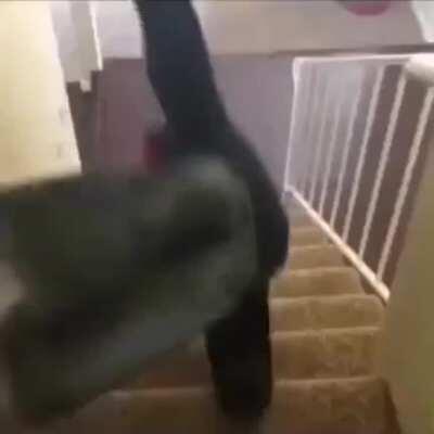 Reee REEEEEEEE I cant b Leibe this is hApPeNiNg