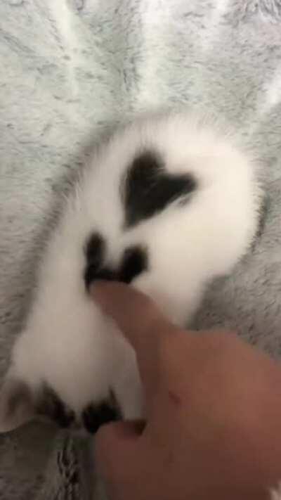 A criminal with a heart (or two)