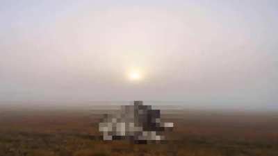 Credits: poopmadness