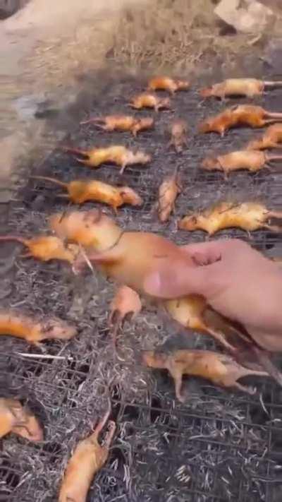 Raty yummy😋😋😋